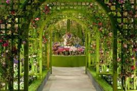 Čarobni vrtovi Tullna s Tur Tur Turizem bodo nepozabni