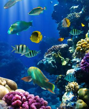 Tur Tur Turizem želi lepo poletje